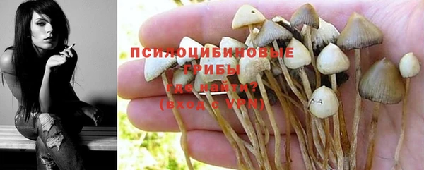 ГАЛЛЮЦИНОГЕННЫЕ ГРИБЫ Вязники