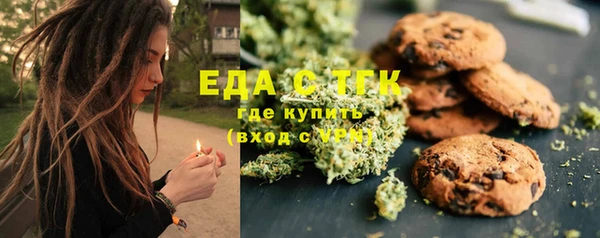 ГАЛЛЮЦИНОГЕННЫЕ ГРИБЫ Вязники