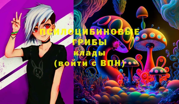 дмт Вязьма