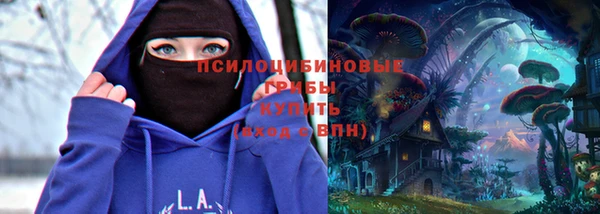 ГАЛЛЮЦИНОГЕННЫЕ ГРИБЫ Вязники