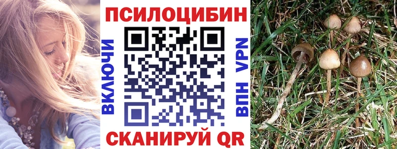 наркота Октябрьский Галлюциногенные грибы мухоморы